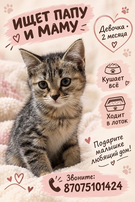 Маленькое счастье в хорошие руки