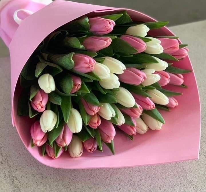 Тюльпаны оптом и в розницу