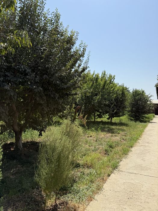 Участок (ферма), сад свой