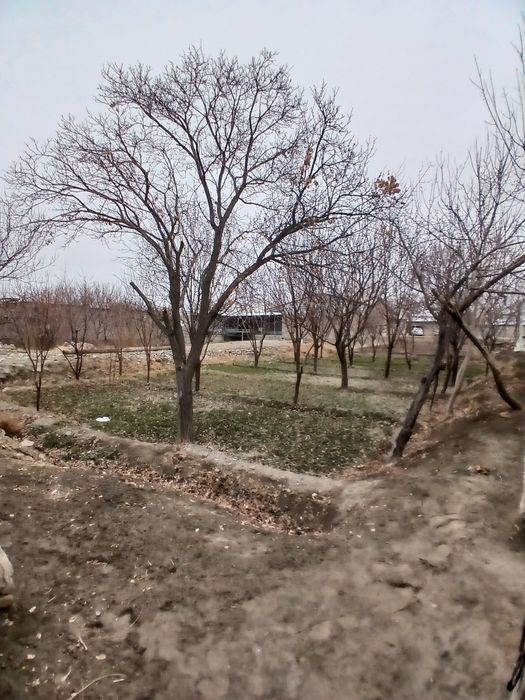 Шофиркон сентирида тез ва арзон нархда .барча жихозлари билан учаска с