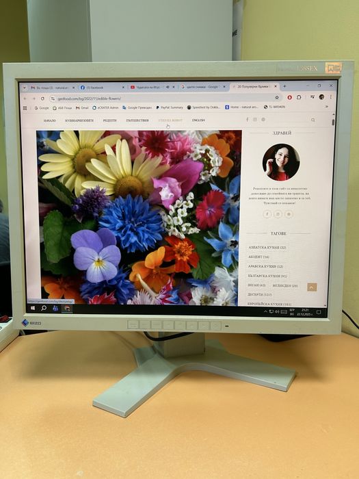 Промоция Монитор EIZO FlexScan L985EX 21,3 inch