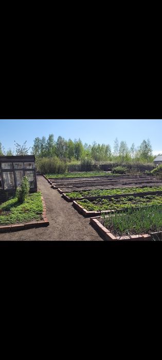 Срочно продам дачу.