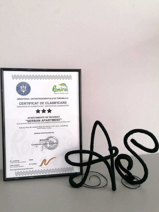 Cazare Targu Ocna Apartament Serban