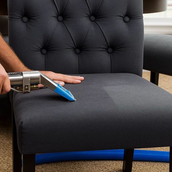 Химчистка мягкой мебели киска диван услуга и матрас услуга