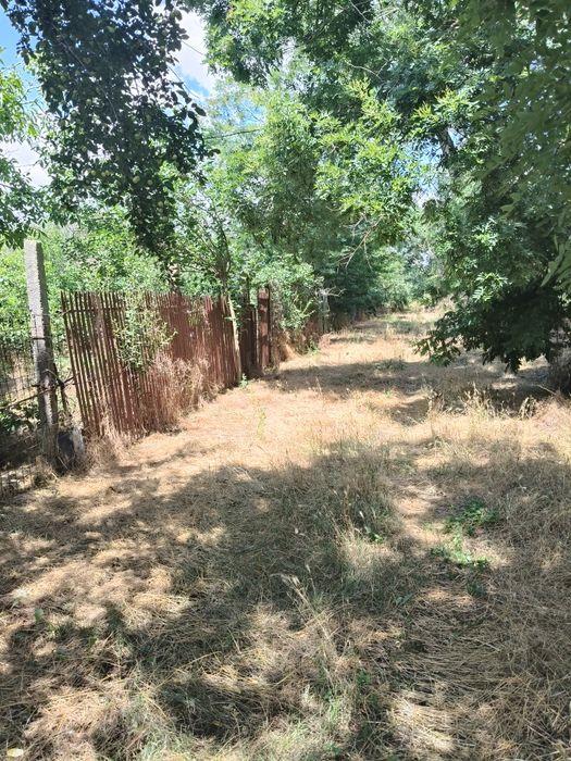 **Vând teren intravilan – 2.500 mp – Roșiori de Vede, Teleorman**