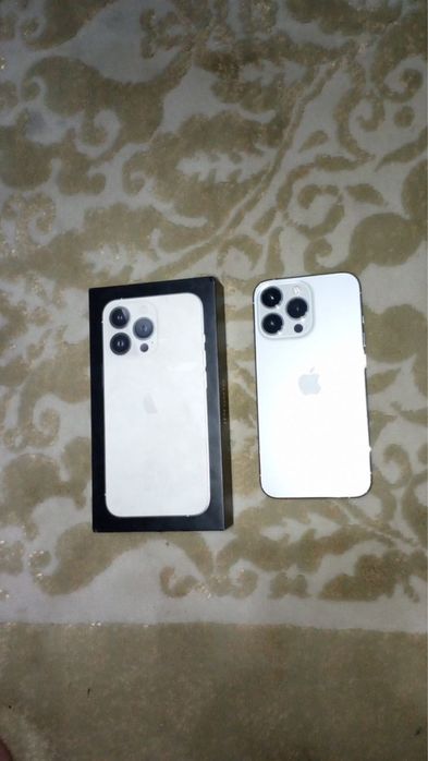 iPhone 13 Pro Silver