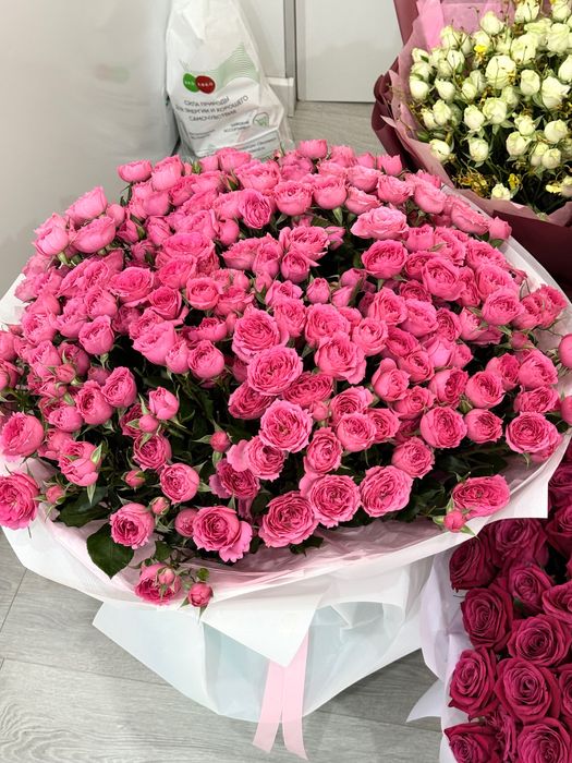 Продам цветы свежие
