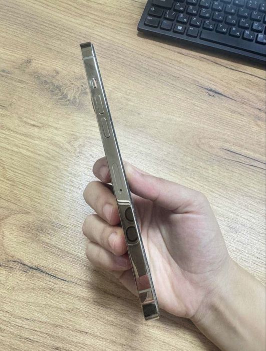 iPhone 12 Pro Max