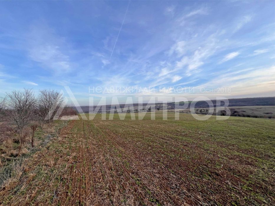 Продава парцел 5 дка в регулация между селата Мировци и Писарево.