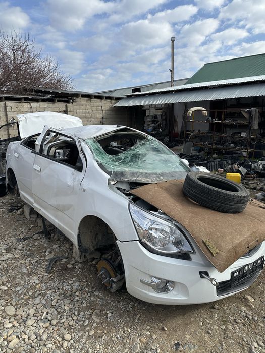 Кобал равон нексия