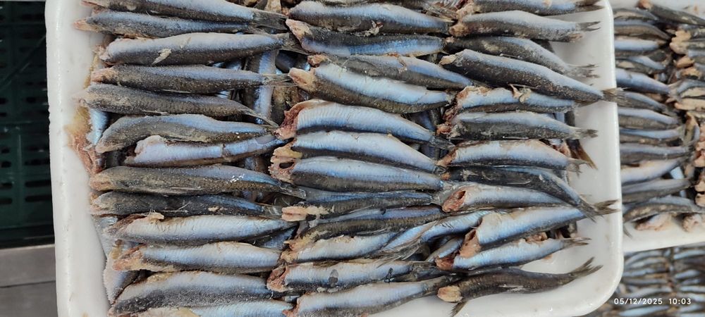 Креветки,рыба,раки,икра