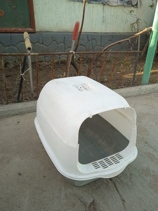 Кошачий  -дом ..