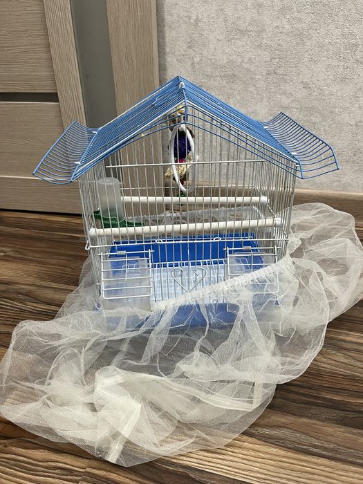 Клетка доя попугая