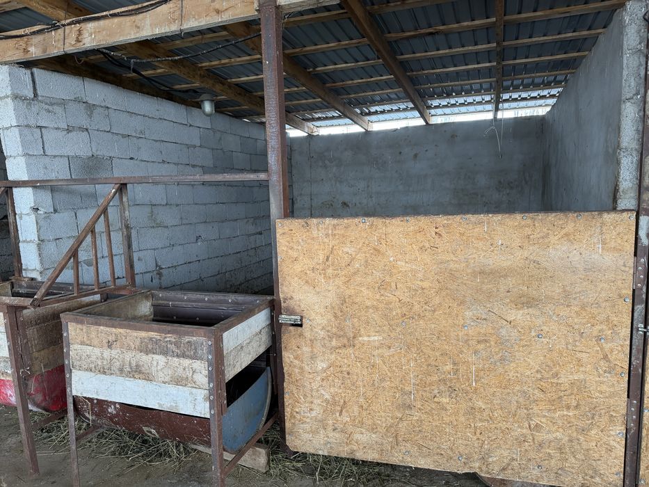 Продам дом с откормом для скота