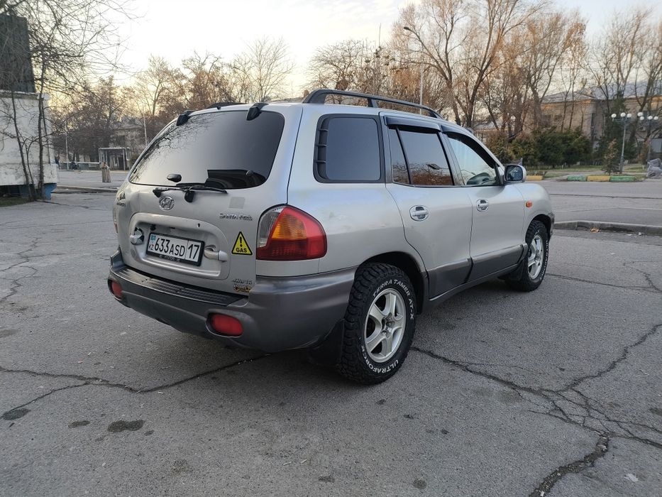 Santa Fe 1 поколение
