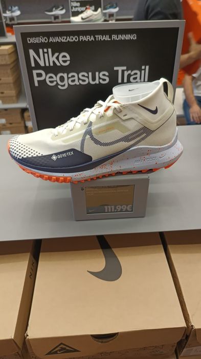 Nike Pegasus Gore tex