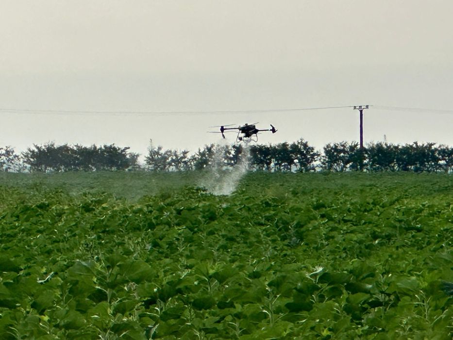 Prestez tratamente fitosanitare cu drona dji agras t50