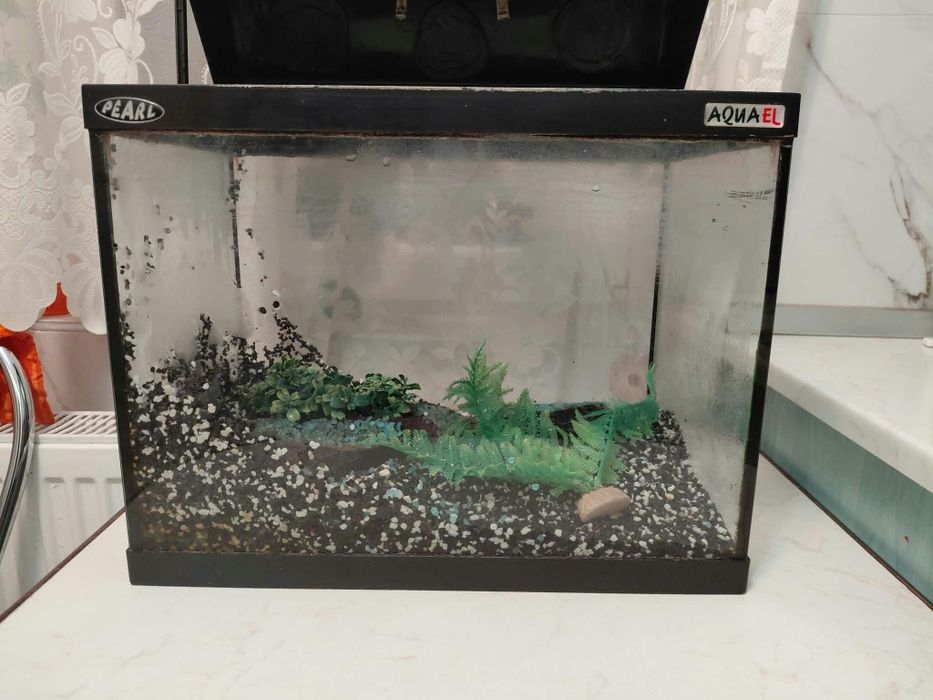 Acvariu de pesti 
Cu pompa de apa 
Si decor 
250 de lei negociabil