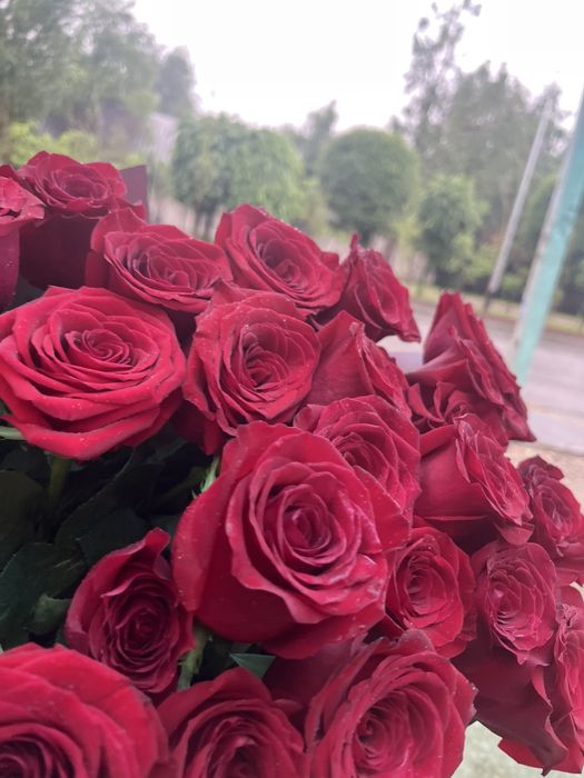 Цветы свежие, из отеля
