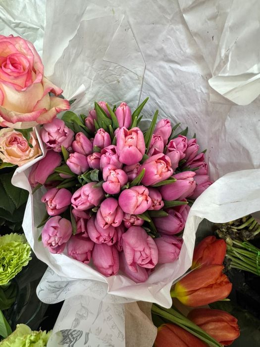 Тюльпаны 1000 шт