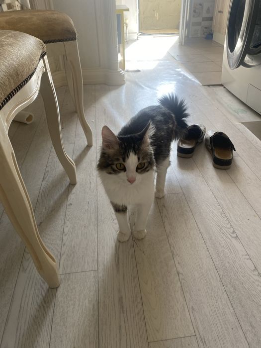 Тегін алып кетндер