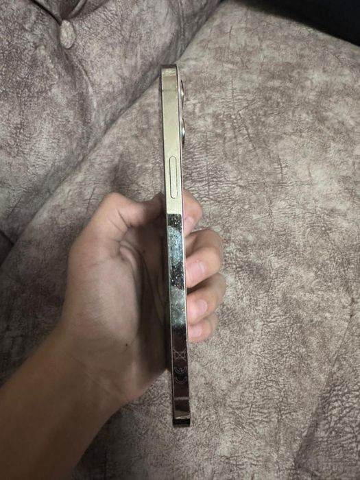 Продам 12 про мах