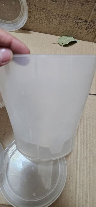 Горшки для орхидеи