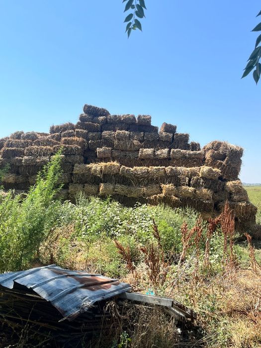 Продам сено разнотравия