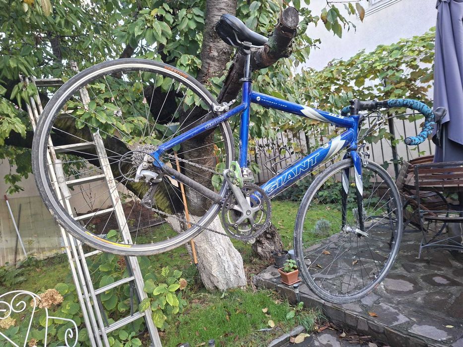 Giant OCR Compact Road