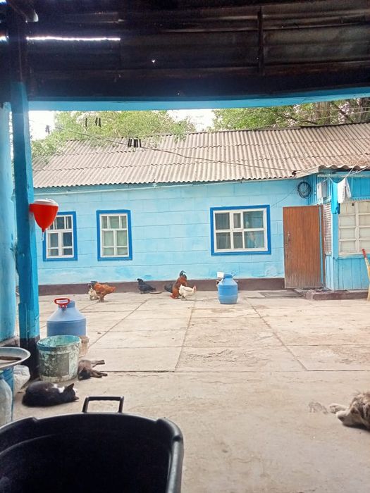 Продам дом с большим участком