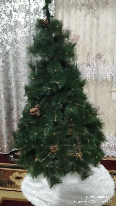 Отдам даром Ёлку