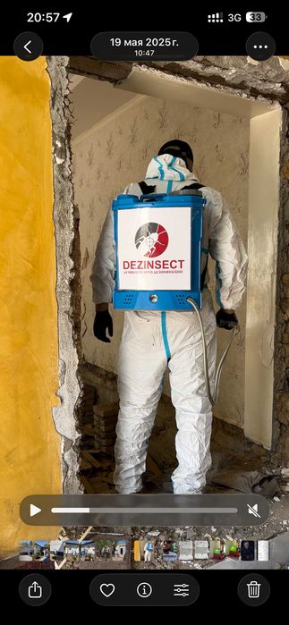 Дезинфекция | Dezenfeksiya | Dizenfeksiya| Dizinfeksiya Таракан клопа