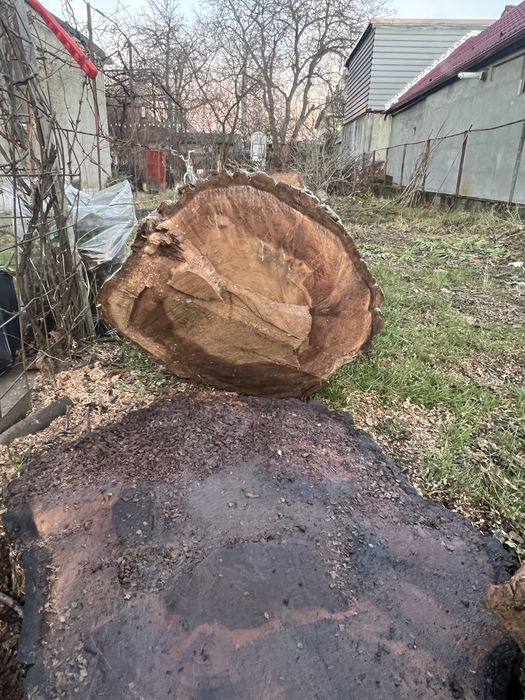 Vand nuc de 60 de ani