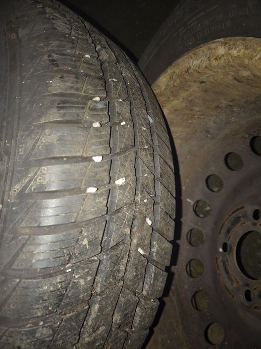 Roti iarna 195 65 15 dot 2019 stare foarte buna Laguna Logan 4prezoane