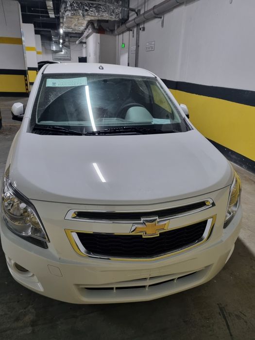 Cobalt 2025/2026 pazitsa masla