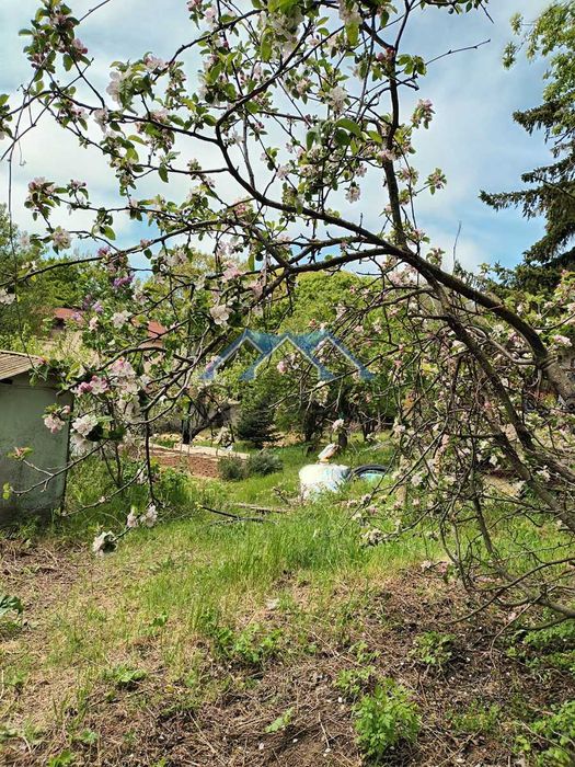 Вила 20м2, парцел 719м2,  85000 евро, Боровец юг