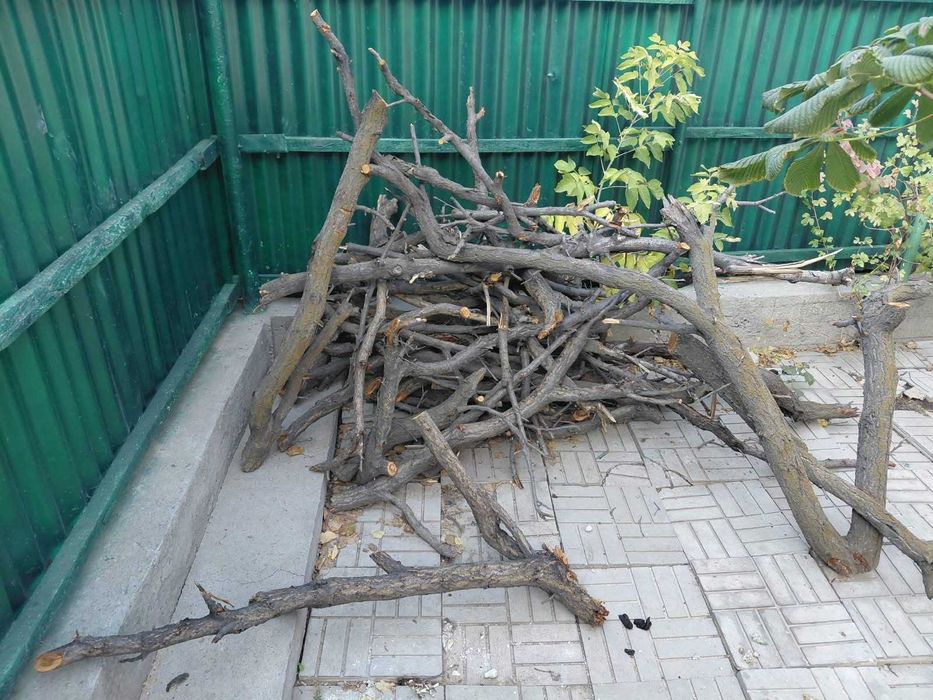 Продам дрова для шашлыка
