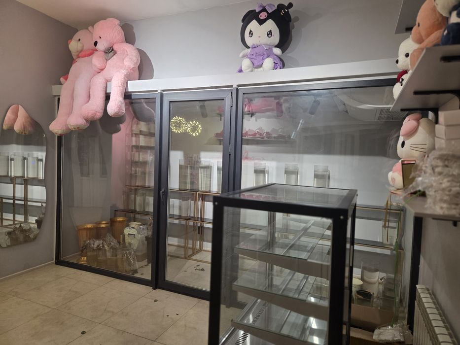 Пластиковая дверь с окнами