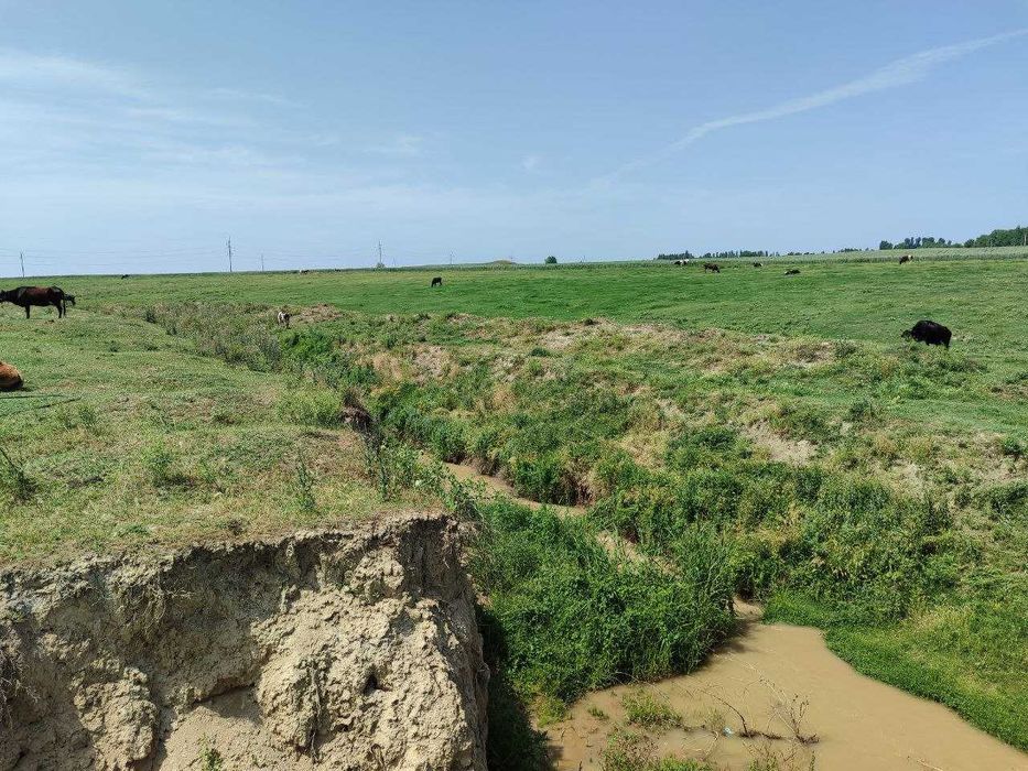 Ижарага ер 1,5 гектар Пискентда