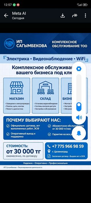 ИП Электрик Амандык