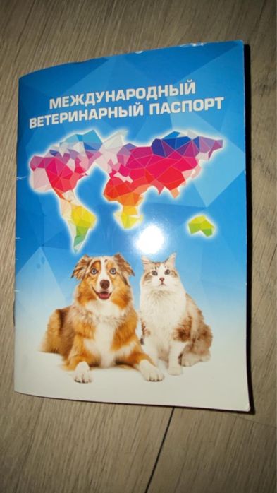 Продам кошка персидская