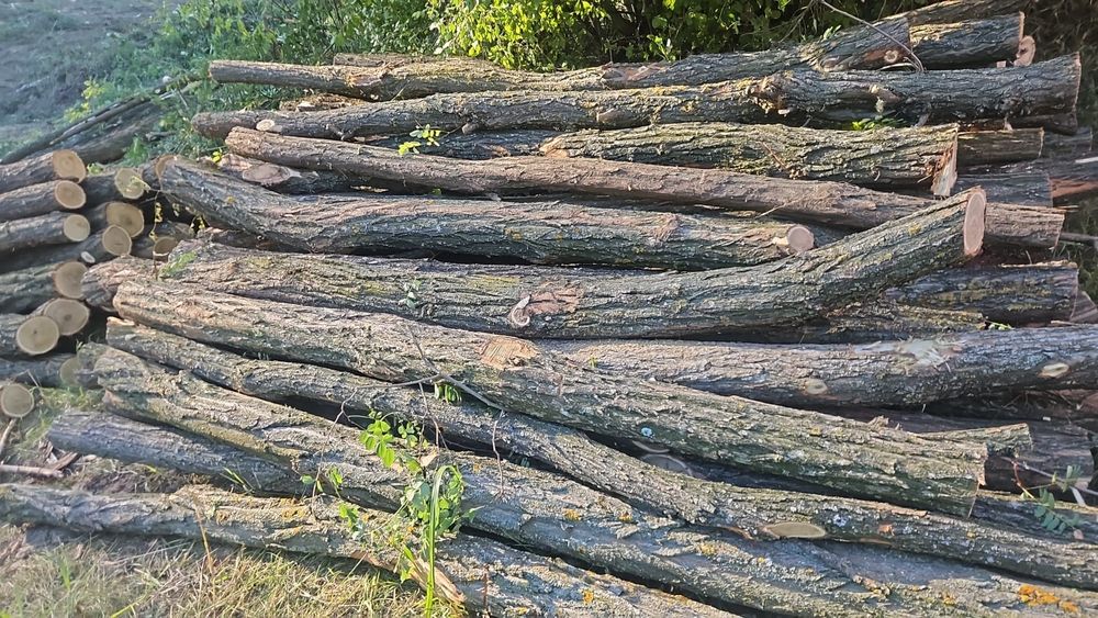 Lemn pentru foc(Carpen,Fag,Salcam)