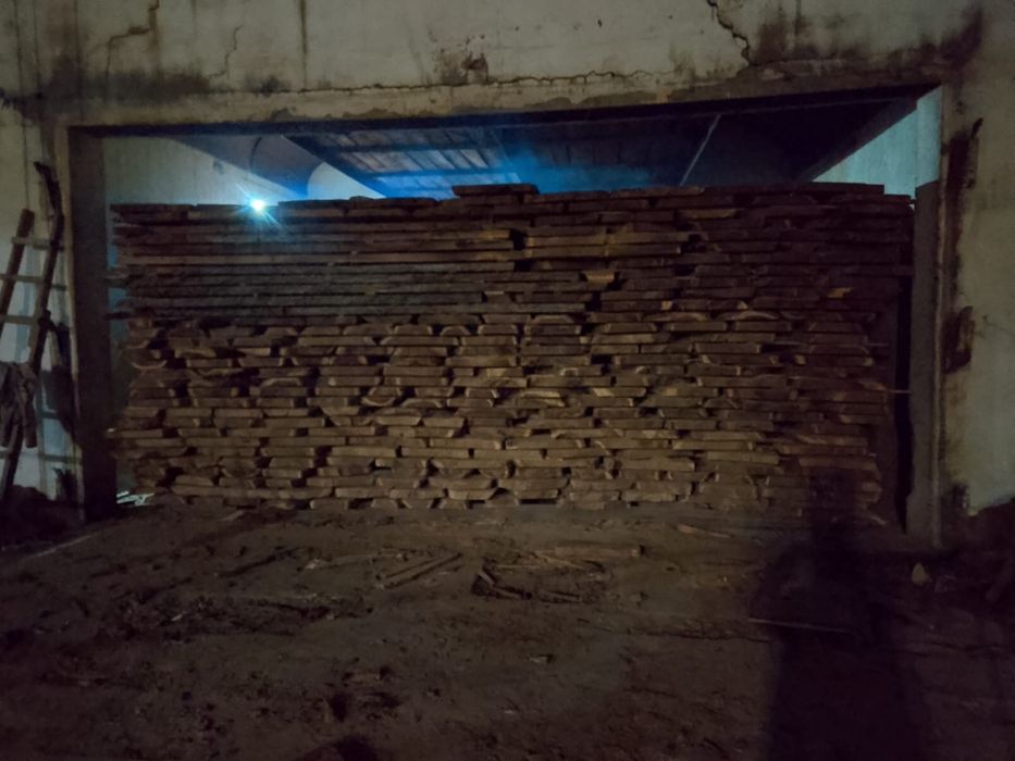 Карагач. Қарағаш