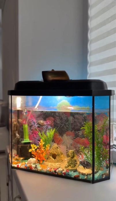 Продам аквариум в комплекте со всеми 20л с рыбками