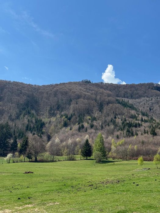 Teren Bran Predelut la poale de munte intravilan