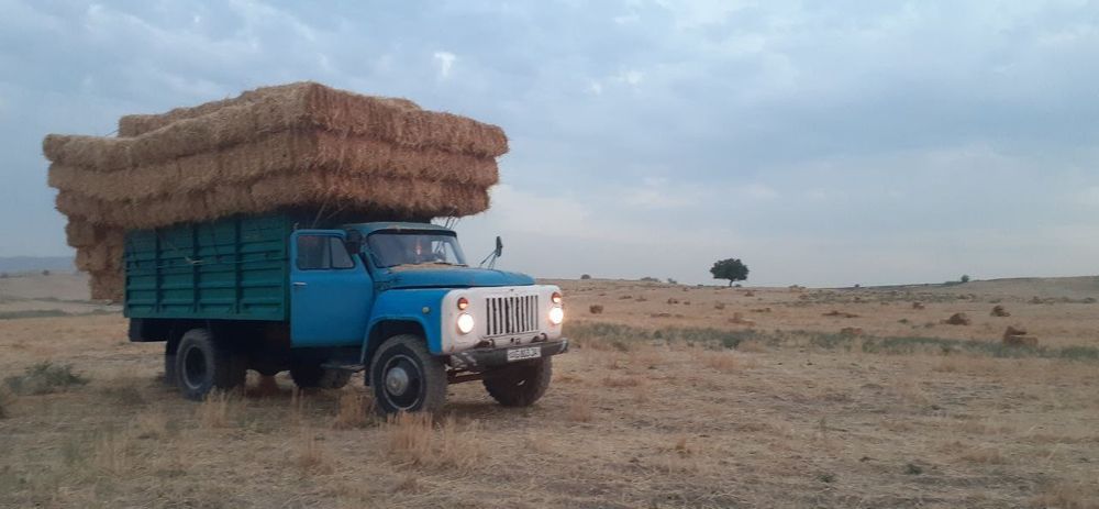 GAZ53 SROCHNA 3500$ holati yaxshi