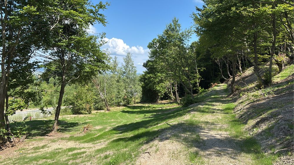 Vind teren ,la pretul cel mai bun oferit  front 30-40m-Evadeaza in Faget  la soare si in mijlocul naturii cu o frumoasa panorama
