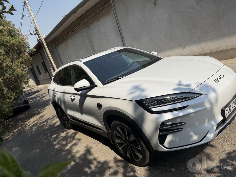 BYD chimpion smart