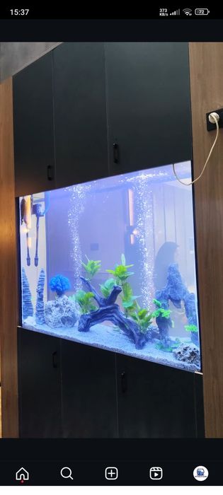 Zakaz asosida akvarium yasab beramiz siz istagan dizaynda Akvarium ola
