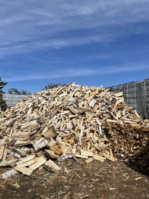 Дрова берёза